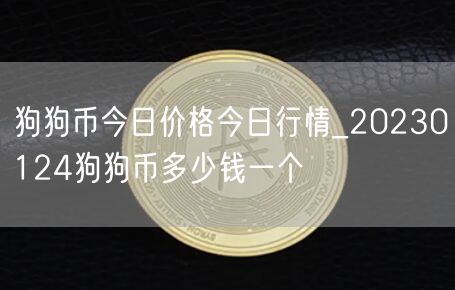 狗狗币今日价格今日行情_20230124狗狗币多少钱一个-第1张图片-交易所